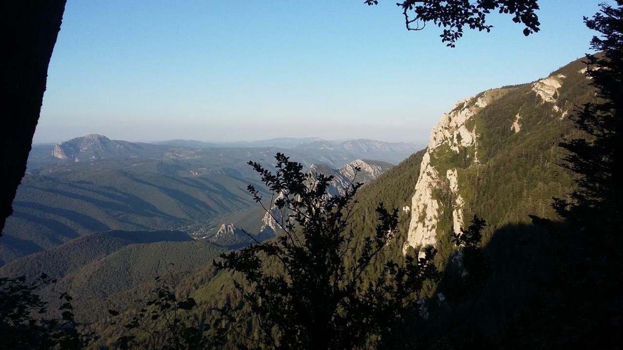 Bed and Breakfast L'Envolee Belvianes-et-Cavirac Zewnętrze zdjęcie